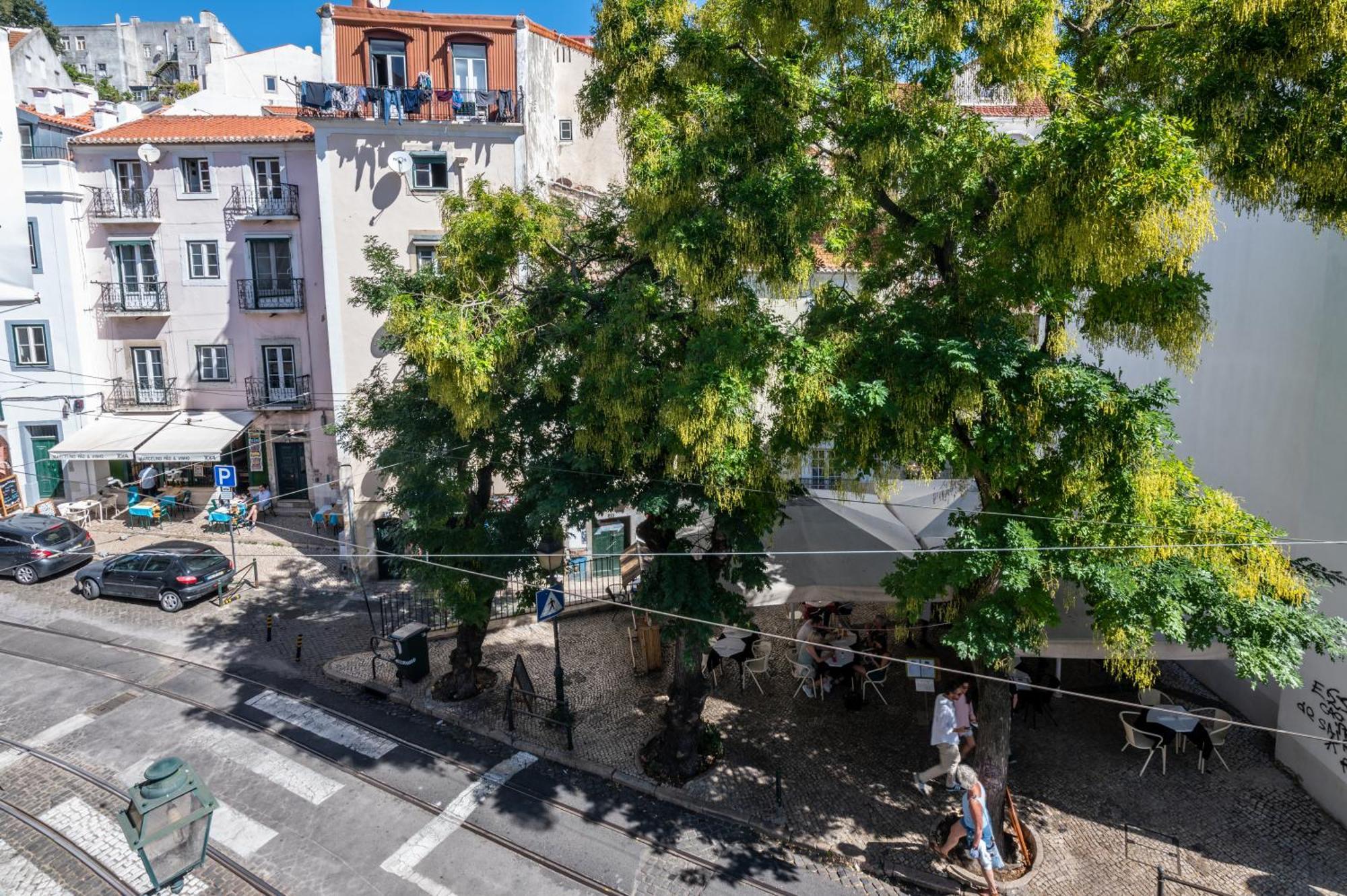 Portas Do Ceu Lejlighed Lisboa Værelse billede