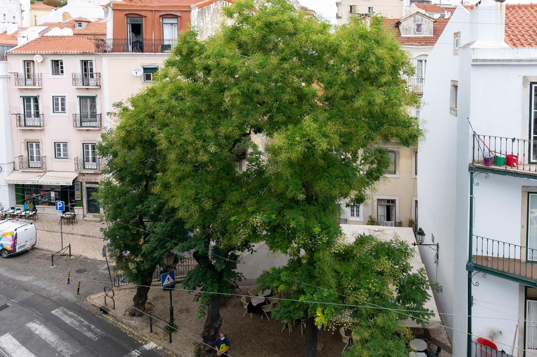 Portas Do Ceu Lejlighed Lisboa Værelse billede
